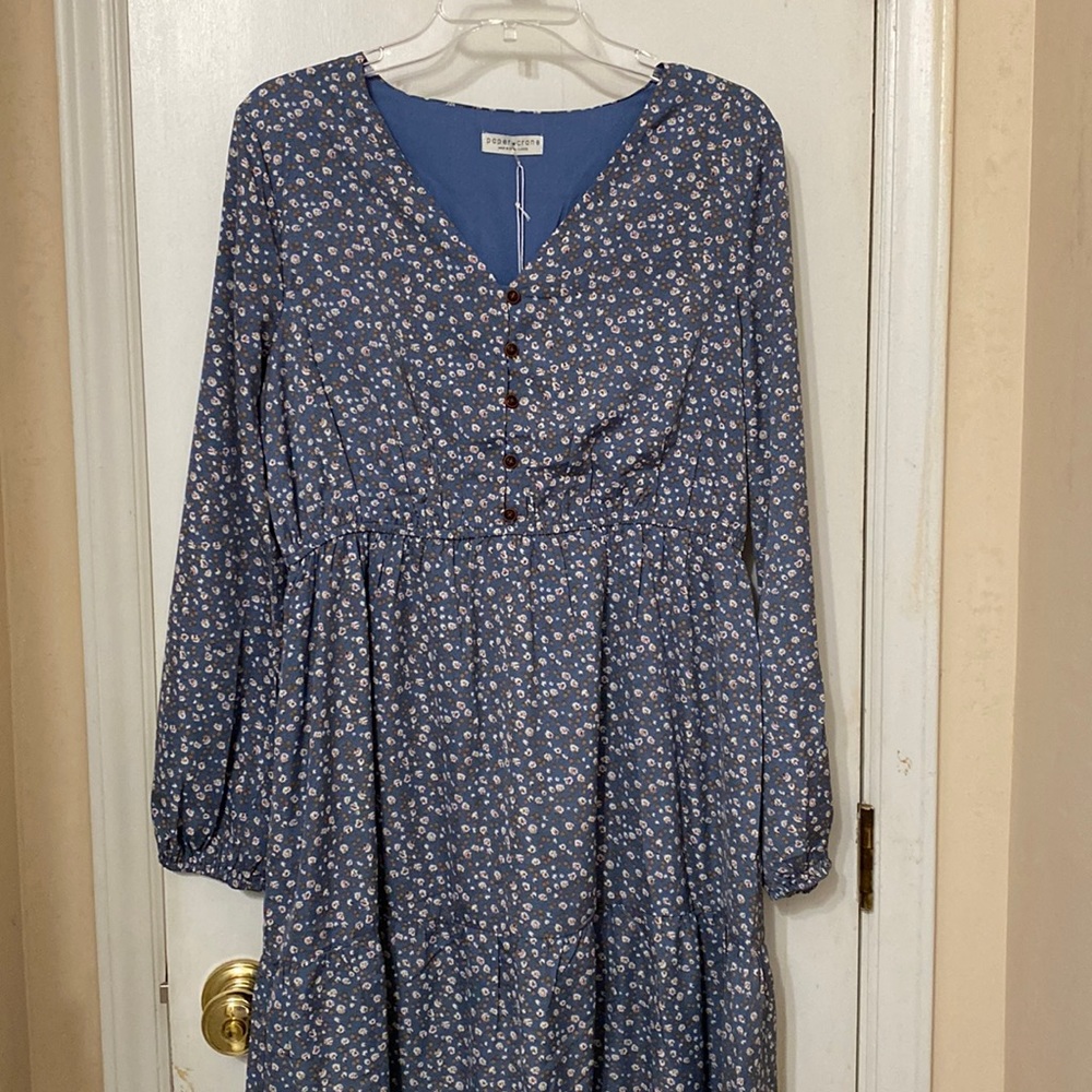 Paper Crane Large Blue Floral Long Sleeve Maxi Dress NWT